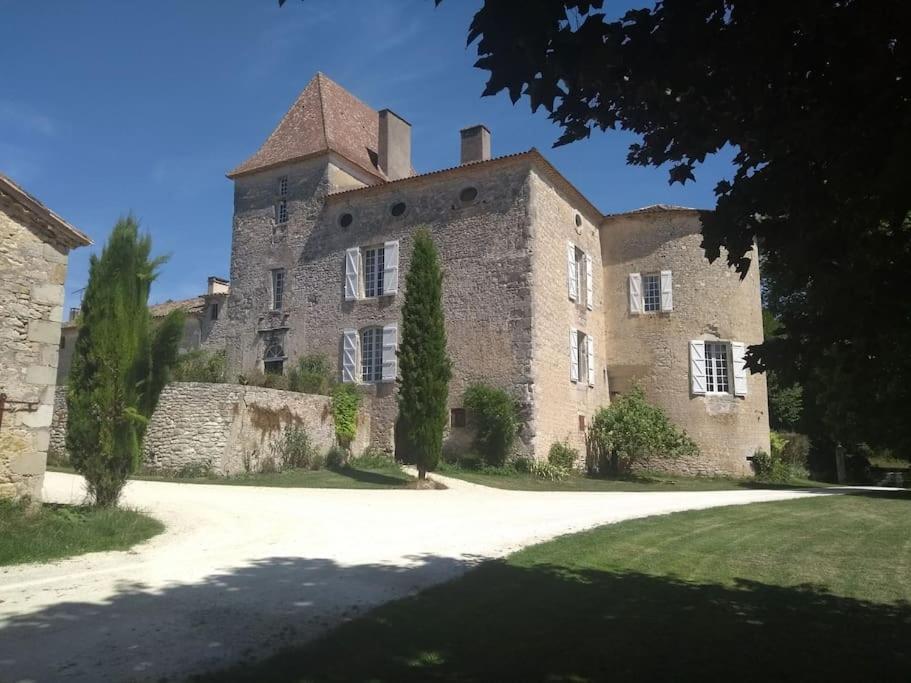 Chateau Barayre - Beautiful 12Th Century Castle With Pool And Large Garden Laussou Экстерьер фото